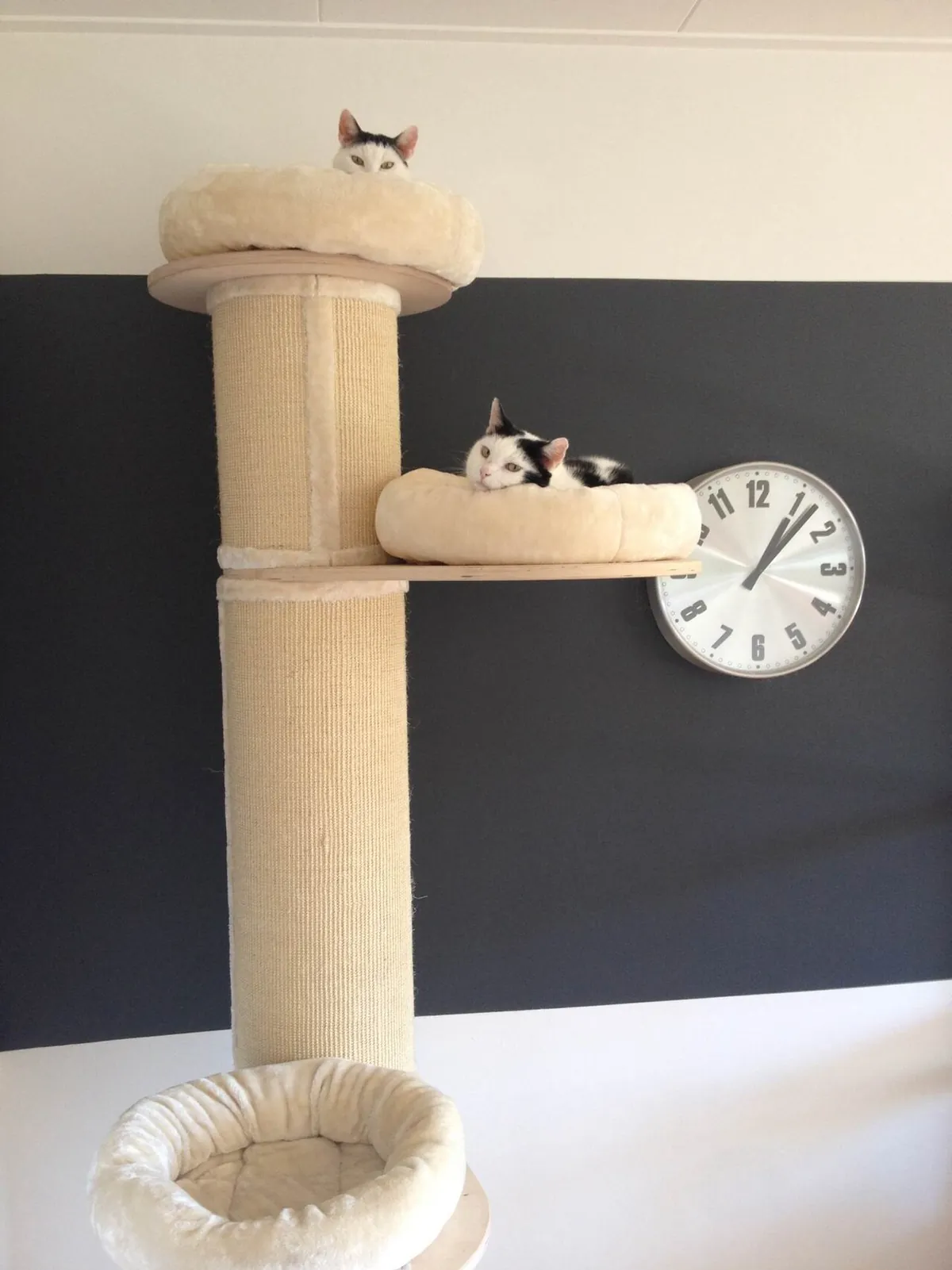 Two cats on a tall cat tree with thick sisal-wrapped scratching posts and wide wooden platforms