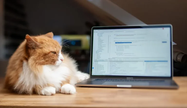 A fluffy orange-and-white long-haired cat lying beside an open laptop on a home desk