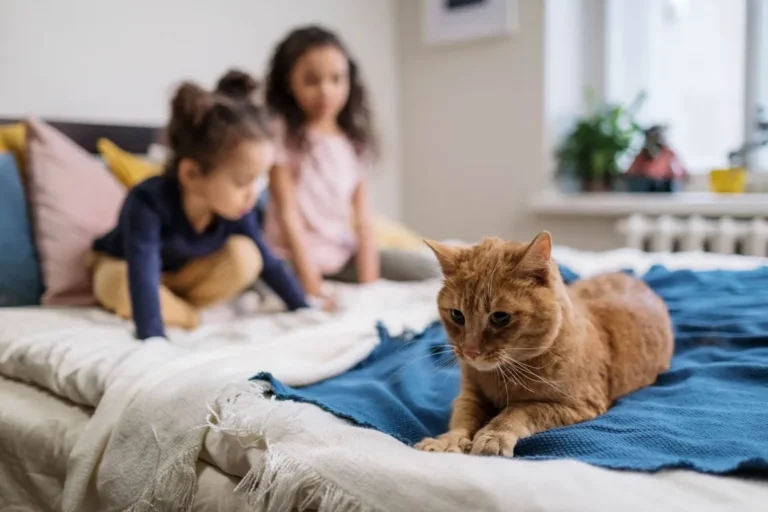 Ginger cat lounging calmly on a bed while two children play nearby