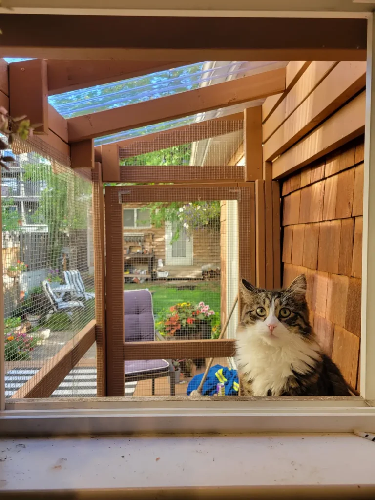 A long-haired tabby-and-white cat sitting inside a wooden-framed screened catio, garden greenery visible behind the mesh