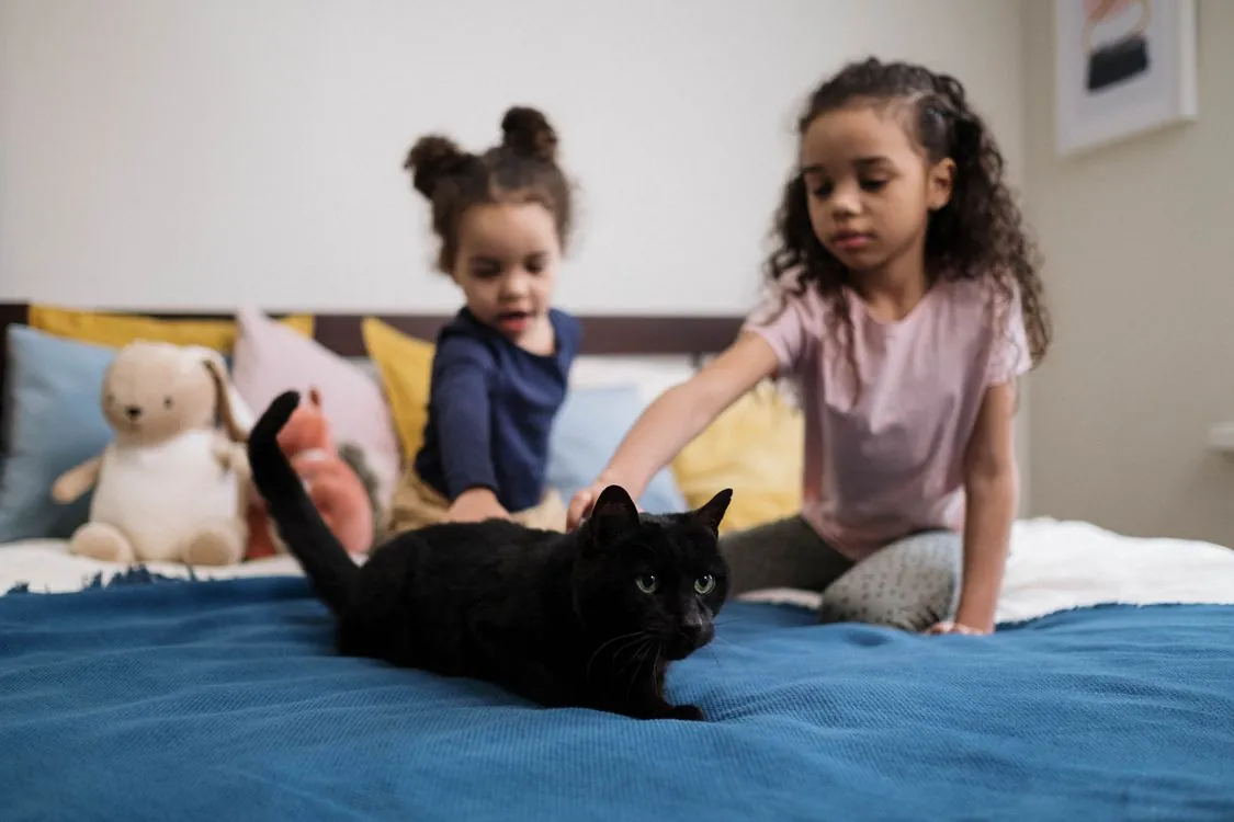 Two children gently petting a black cat on a bed
