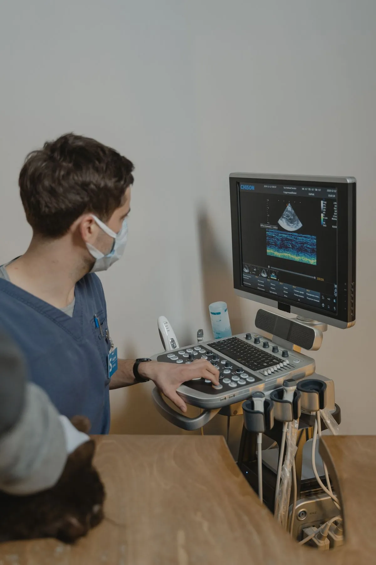 A veterinarian operating an ultrasound machine with a live scan glowing on the monitor, a cat resting on the exam table