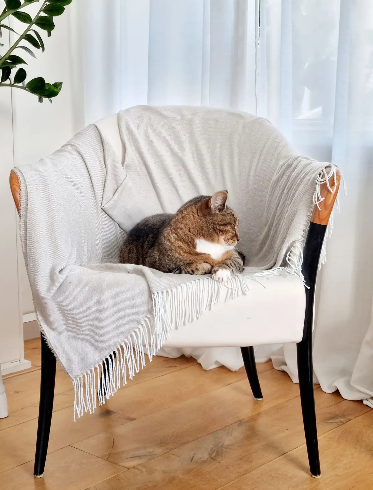 A tabby cat curled up asleep on a blanket draped over an armchair