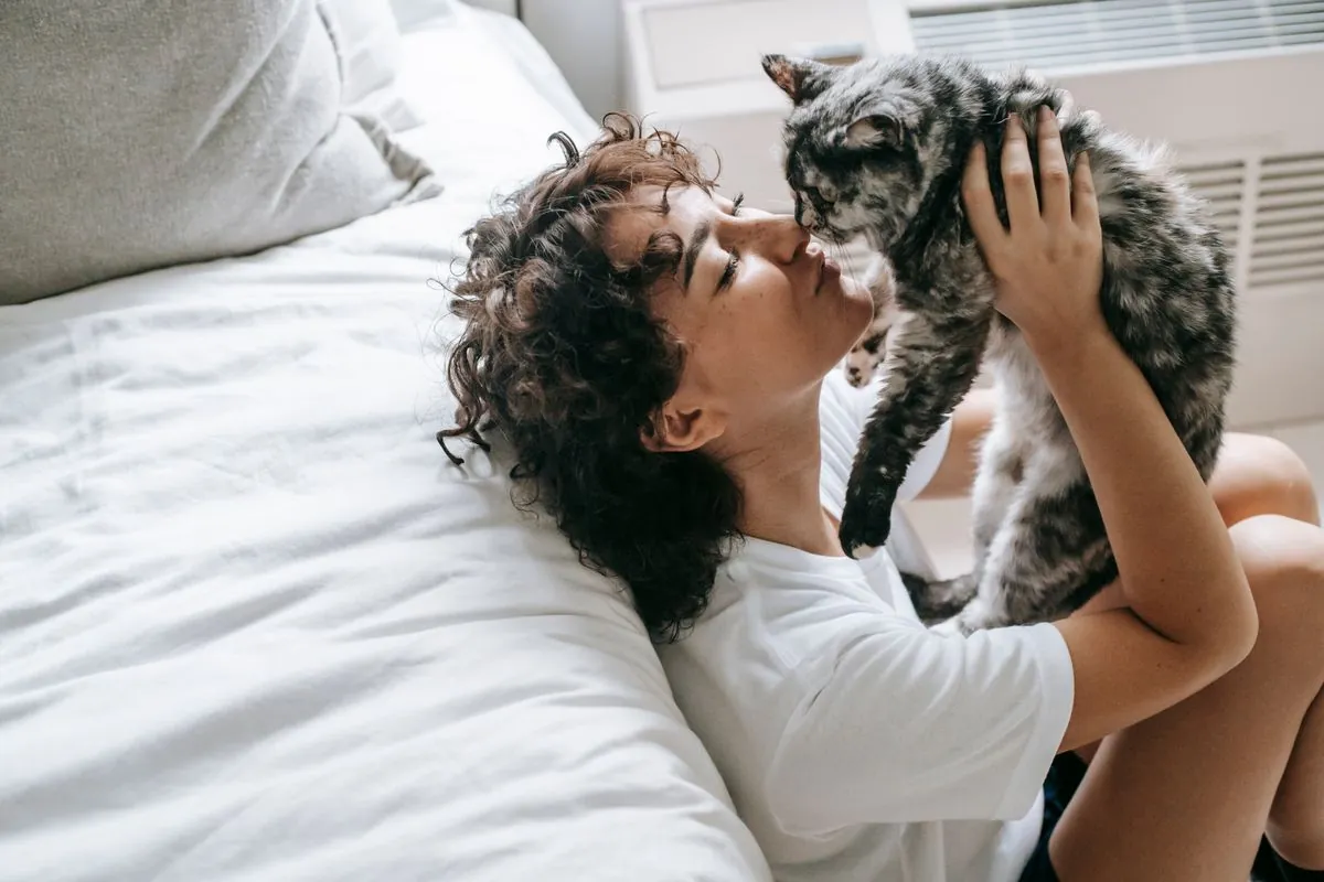 Fluffy cat leaning on a bed beside its owner