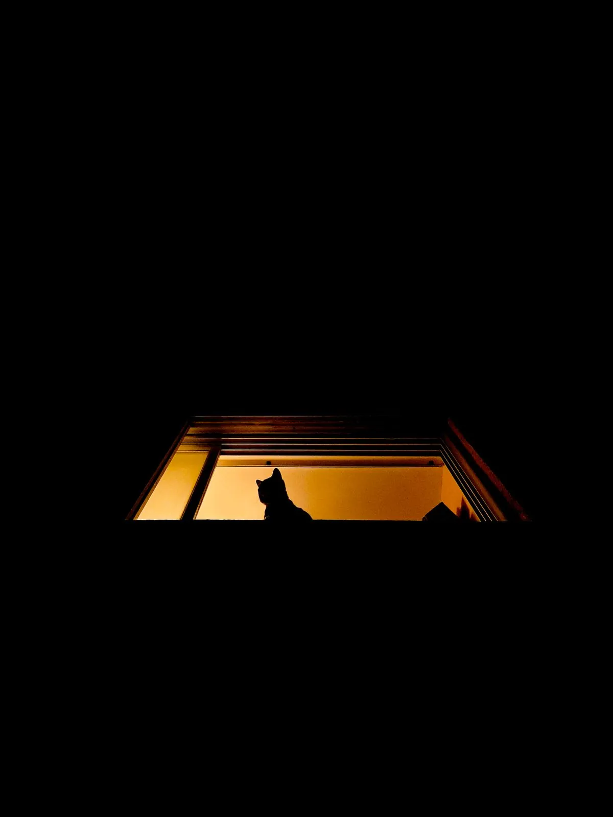 Cat silhouette sitting in a warmly lit window at night