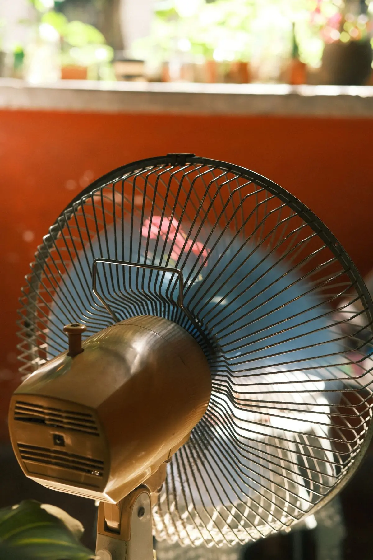 Vintage electric fan in warm sunlight